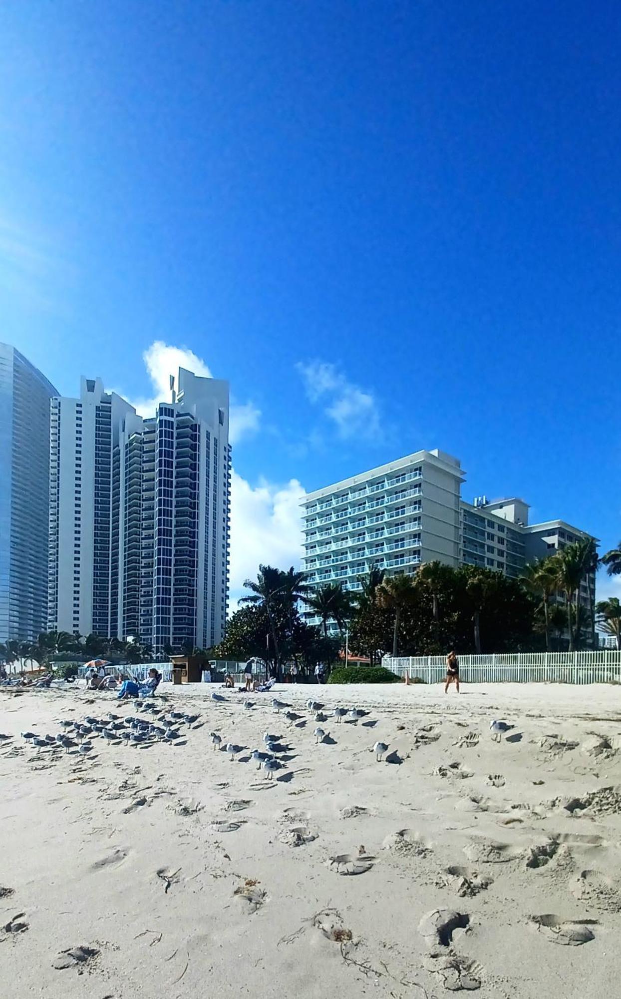Apartamento Miami Direct Access To The *